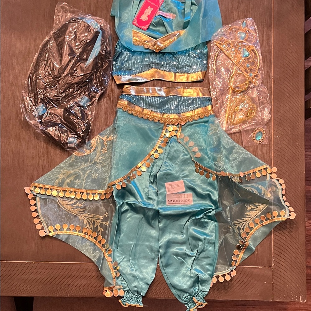 NWT Princess Jasmine costume with wig and accessories size 4T-5
